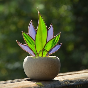 Vidrieras de agave suculento cazador de sol, vidrieras colgantes, regalo de inauguración de la casa