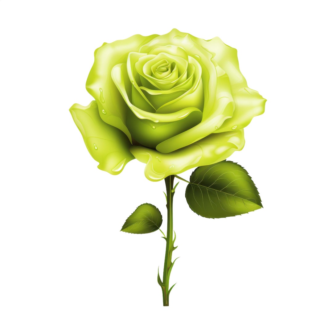 Green Rose Clipart Flower Vector File SVG High Resolution Etsy
