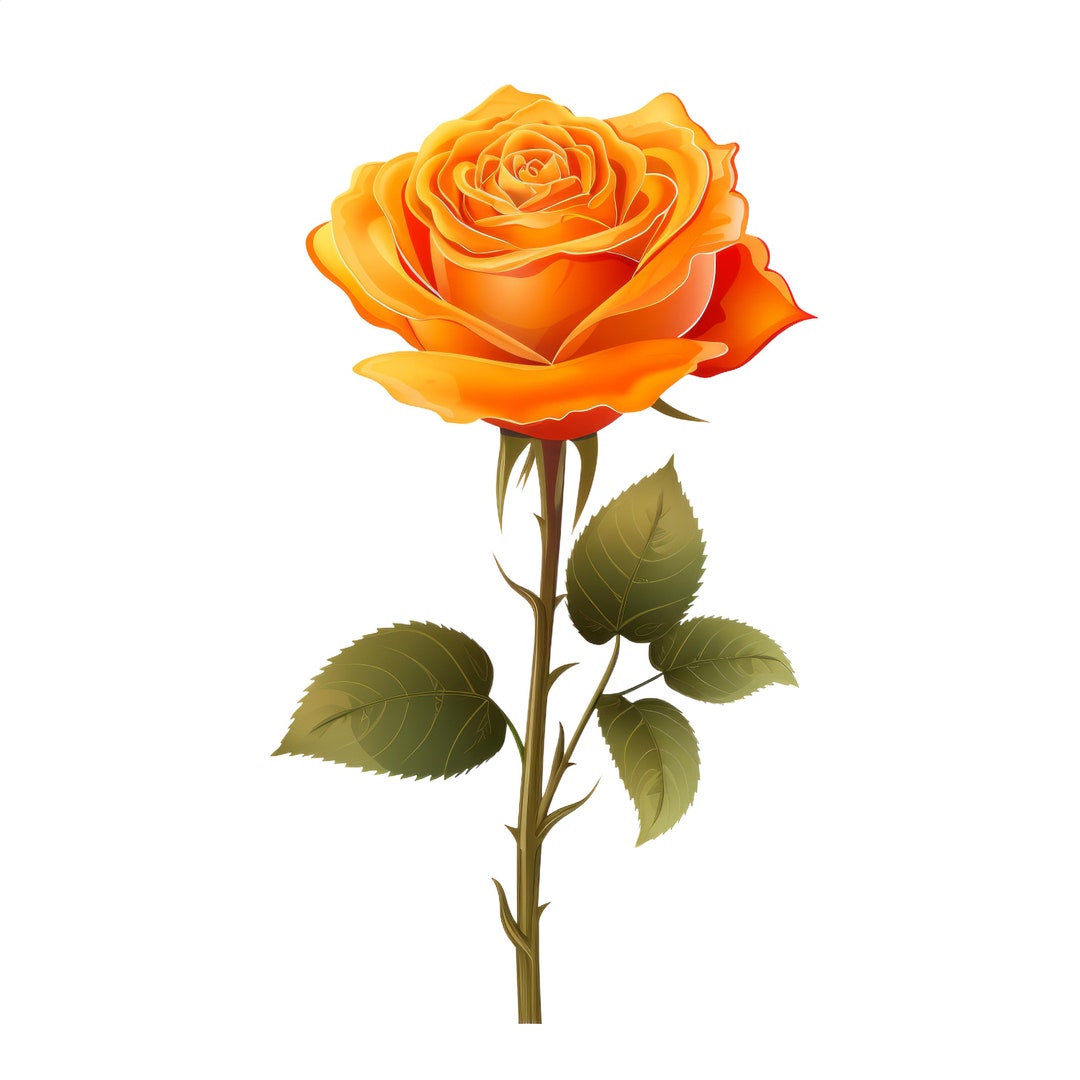 Orange Rose Clipart, Flower Vector File, SVG, High Resolution PNG