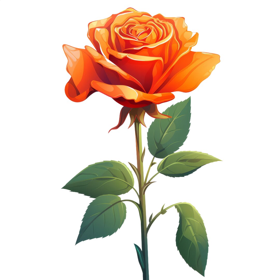 Orange Rose Clipart Flower Vector File SVG High Resolution - Etsy