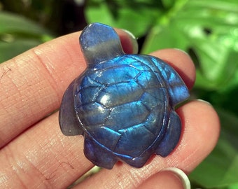 Natural Labradorite turtle,blue Labradorite Sea turtle,crystal zoon,Crystal collection,mineral specimen,Reiki healing,Crystal gifts 1PC