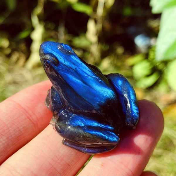 Amazing Blue Flashy Labradorite frog,Super Top Grade Quality Labradorite skull,crystal frog,Crystal collection,Special mineral specimen 1PC