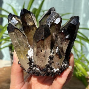 350g+ Smoky quartz Cluster,Large Raw Quartz Cluster,Smoky quartz vug,Reiki healing,crystal Chakra,Crystal gifts 1PC