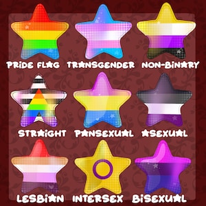 Laminated Fursuit pride badges