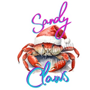 Sandy Claws, Küstenweihnachten PNG, Florida Beach Santa, Tropisches Weihnachten, Tropischer Weihnachtsmann, Florida Weihnachtsbild, Strandkrabben-Weihnachtshut