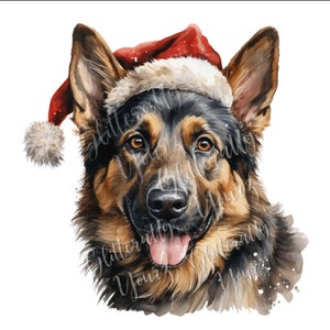 Berger allemand avec chapeau de Père Noël PNG, maman berger, Noël berger, berger allemand en mémoire, vacances berger