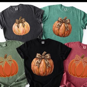 Puede incluir: Cinco camisetas de manga corta en gris carbón, verde azulado, verde salvia, negro y granate. Cada camiseta presenta un gráfico central de una calabaza naranja con un lazo de estampado de leopardo. Tienen cuello redondo y corte holgado.