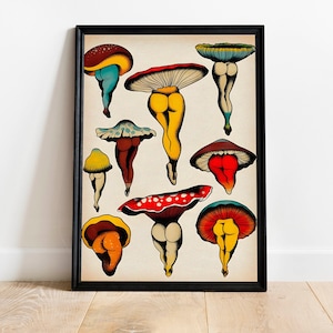 Op de afbeelding: Een vintage-stijl illustratie van verschillende paddenstoelen met kleurrijke hoeden en stelen. De paddenstoelen zijn op een grillige en gestileerde manier afgebeeld, waarbij elk een uniek ontwerp en kleurenschema heeft.
