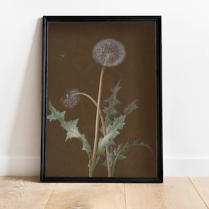 vintage dandelion wildflower painting wall art, dark floral paint, moody paint wall art
