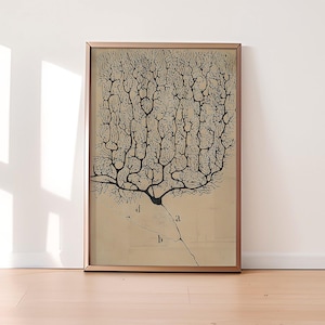 Santiago Ramón y Cajal - Neuron painting, Neuron Painting, Reproduction Canvas, Museum Collections 1