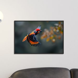 Paradiesvogel Poster - Exotischer Paradiesvogel, Farbenfroher Vogel, Vogelkunst, Naturfotografie, Wandbild für Vogelliebhaber