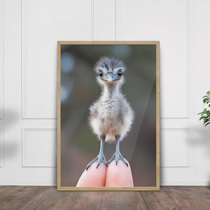 Surreal Tiny Emu Poster | Adorable Baby Emu Wall Art | Unique Animal Decor | Miniature Bird Print | Gift for Nature Lovers