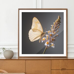 Poster Schmetterling auf Blume - Fotorealistische Wandkunst, Naturdruck, Elegante Dekoration, Einzigartiges Geschenk, Hochwertiger Druck