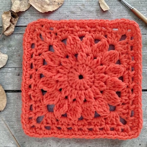 May include: A square, coral-colored crochet piece with a floral design in the center. The handmade item is placed on a weathered wooden surface, surrounded by dried leaves and a paintbrush.