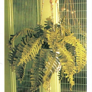 May include: A crocheted green fern plant hanging from a chain with white beads. The plant is in a white pot and is hanging in front of a green and white window.