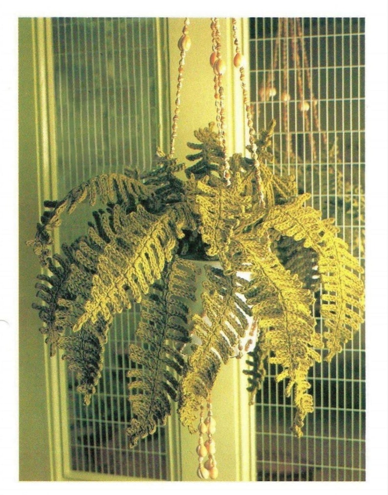 May include: A crocheted green fern plant hanging from a chain with white beads. The plant is in a white pot and is hanging in front of a green and white window.