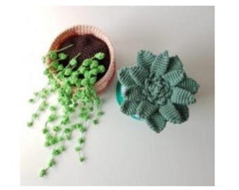 Crochet Pea Plant Pattern, Mini Potted Plant (PDF Download)