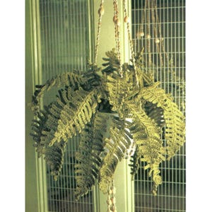 Könnte beinhalten: Eine gehäkelte grüne Farnpflanze, die an einer Perlenkette von der Decke hängt.