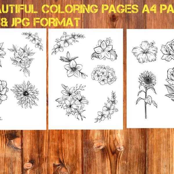 Adult Coloring Book: Vase 24 Flowers in those Coloring Pages Flowers Printable Coloring Pages (Printable, PDF,JPG,ZIP file download )