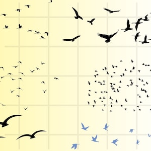 Flock of Birds svg bundle\ SVG\ JPG\ PNG\ Commercial Use\ Digital Cut Files for Cricut\ Silhouette\ Transparent Background\ Flying Bird