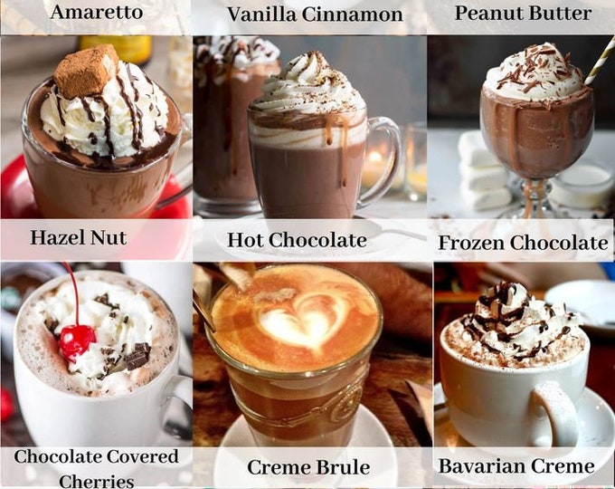 TWELVE HOT CHOCOLATES of  Winter Bundle, Cocoa Lover's Gift, Thank You Gift, Free Shipping,  Hot Chocolate Sampler Box,