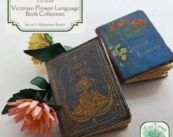 Collezione di libri in lingua vittoriana in miniatura - Set di download digitale di 2 - Scala 1:12 - Fai da te stampabile - Casa delle bambole - Pacchetto risparmio