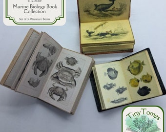 May include: Set of three miniature books on marine biology, each with a different illustration. The books are open to show the illustrations of a whale, crabs, and fish. The books are labeled "Printable Download 1:12 Scale Marine Biology Book Collection Set of 3 Miniature Books" and "Tiny Tomes Press".