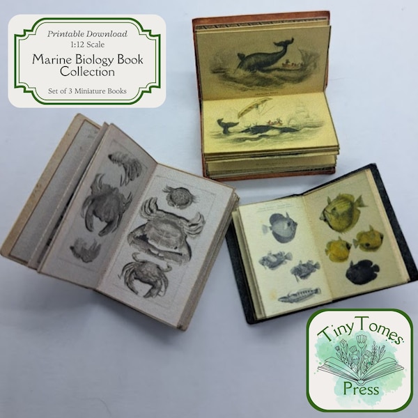 Miniature Marine Biology Book Collection - Digital Download - Set of 3 - 1:12 Scale - Printable DIY - Dollhouse - Saver Bundle