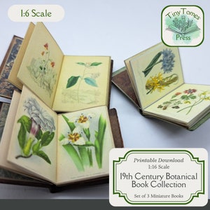 Miniatur-Sammlung botanischer Bücher aus dem 19. Jahrhundert – digitaler Download – 3er-Set – Maßstab 1:6 – druckbares DIY – Puppenhaus – Sparpaket