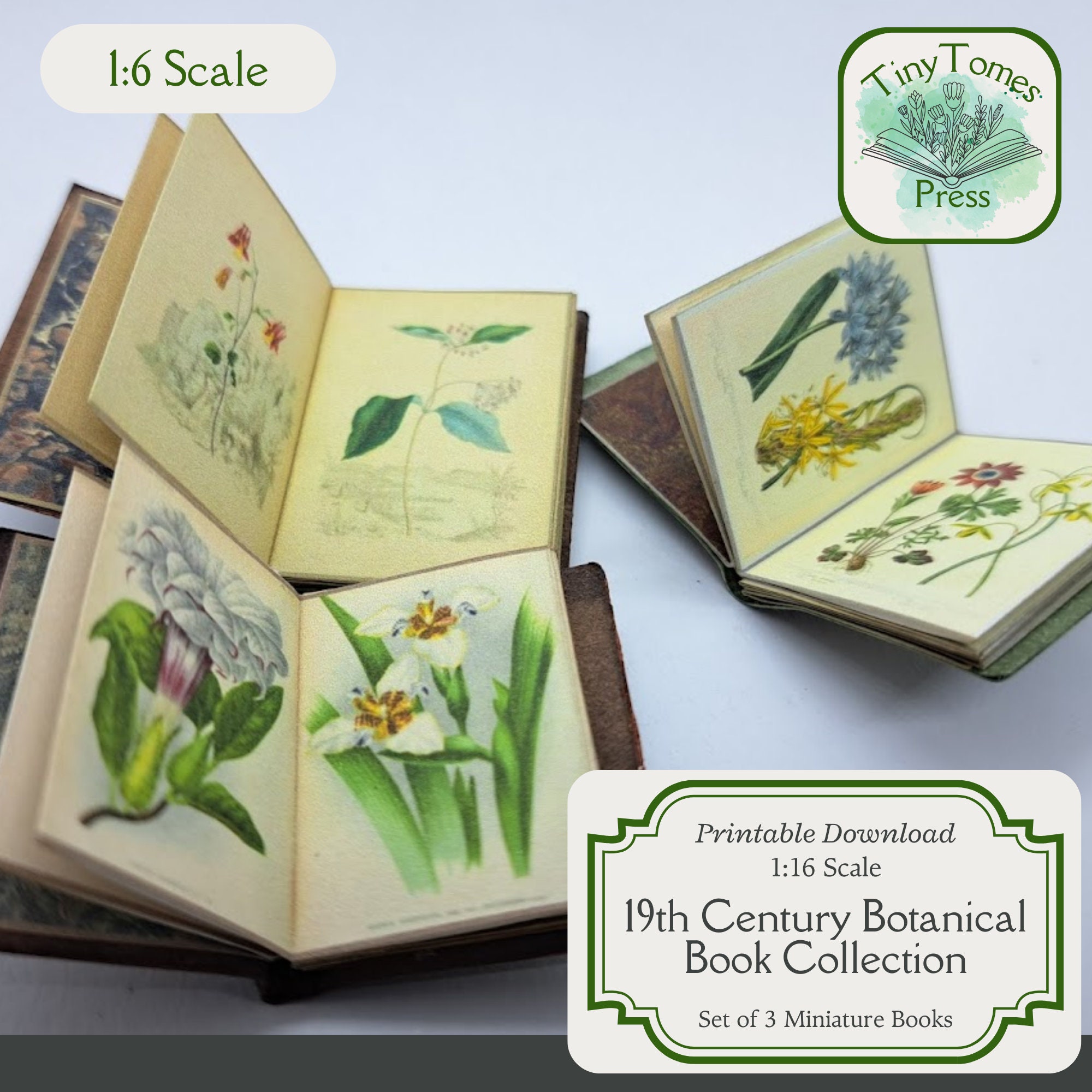 24時間限定タイムセール 19 Century Etsy - Book コンピュータ・IT