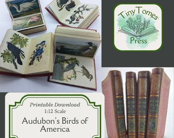 Miniature Audubon's Birds of America Books - Digital Download - Set of 4 - 1:12 Scale - Printable DIY - Dollhouse - Saver Bundle