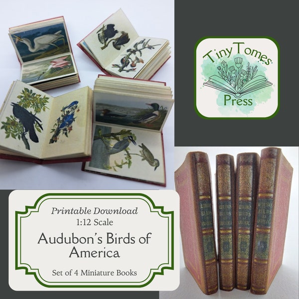 Miniature Audubon's Birds of America Books - Digital Download - Set of 4 - 1:12 Scale - Printable DIY - Dollhouse - Saver Bundle