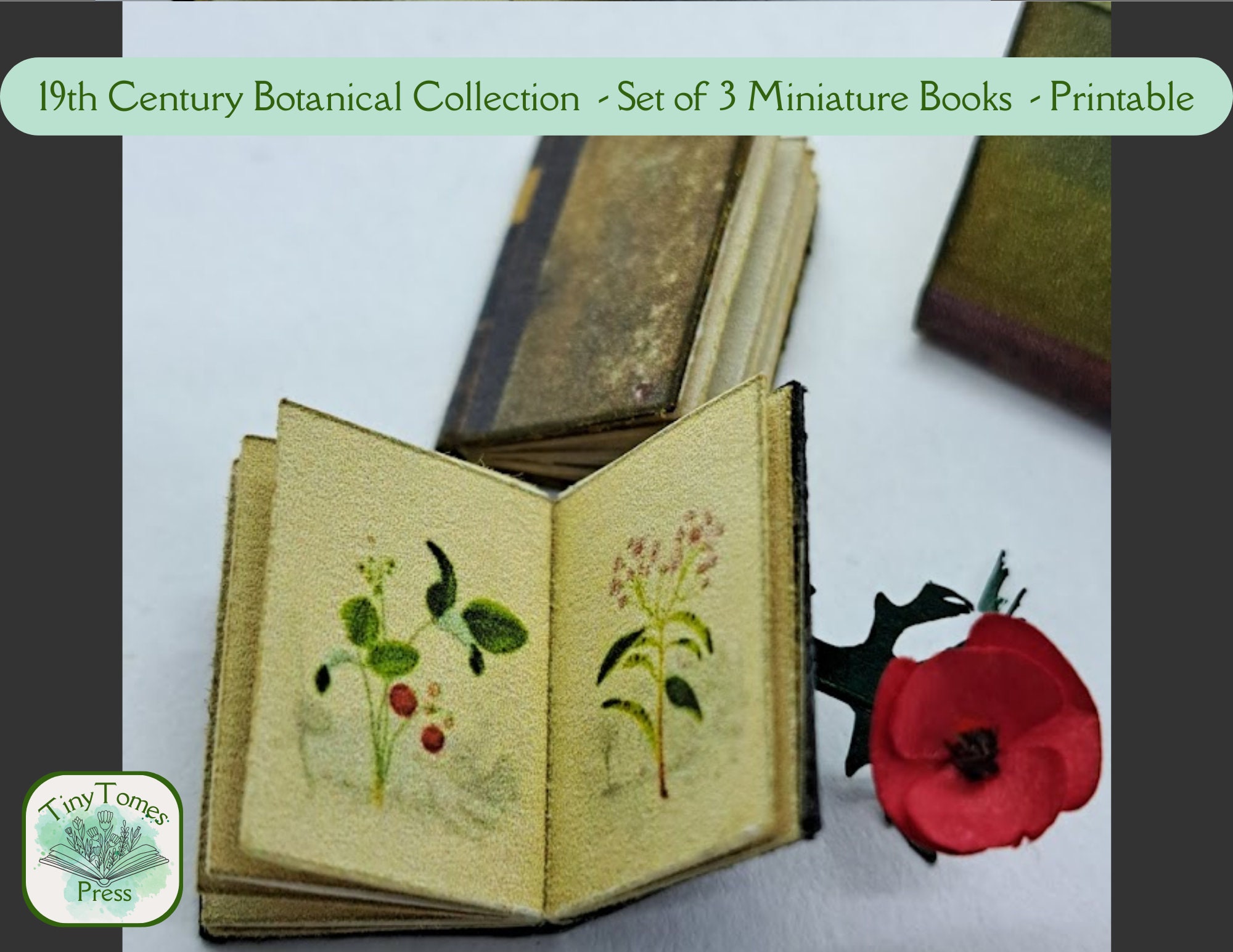 Miniature 19th Century Botanical Book Collection - Digital Download ...