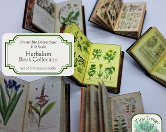Miniature Herbalism Collection - Digital Download - Set of 6 - 1:12 Scale - Printable DIY - Illustrated - Dollhouse - Saver Bundle