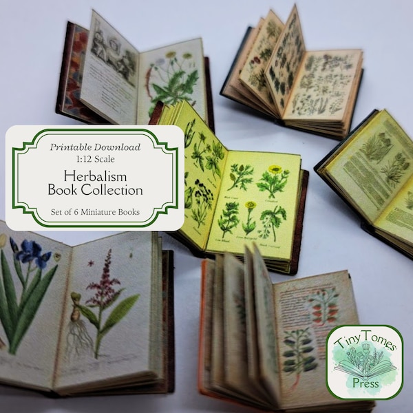 Colección de herboristería en miniatura - Descarga digital - Conjunto de 6 - Escala 1:12 - Bricolaje imprimible - Ilustrado - Casa de muñecas - Paquete de ahorro