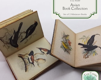 1:12 Scale Miniature Bird Book Collection – Vintage Illustration (Digital Download)