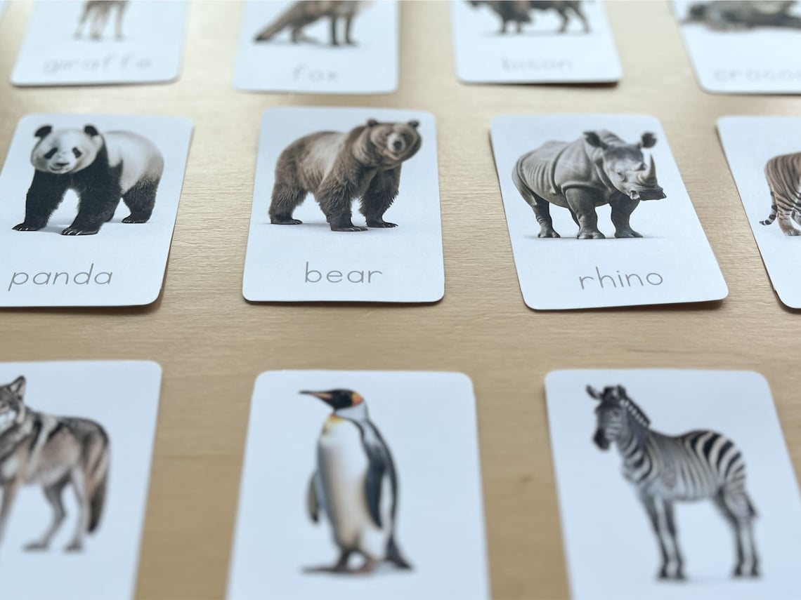 Wild Animals Printable Flashcards Educational Montessori - Etsy