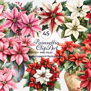 Poinsettia Clipart, Poinsettia PNG, Christmas Clipart, White, Red, Pink, Sublimation, Scrapbooking, Transparent Background, Commercial Use
