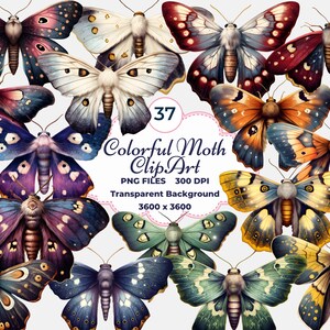 Bunte Motte Clipart, magische Motte PNG, lila Motte, rosa Motte, blaue Motte, weiße Motte, Sublimation