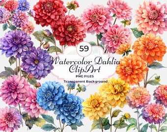 Watercolor Dahlia Clipart, Floral PNG, Sublimation, Scrapbooking, Transparent Background, Commercial Use