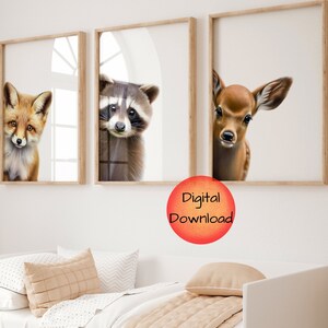 May include: Three framed prints of animal faces. A fox, a raccoon, and a deer are peeking out from behind a window frame. The prints are in a light wood frame and have a white background.
