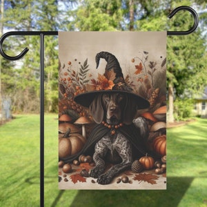May include: A brown and white German Shorthaired Pointer dog wearing a witch's hat with autumn leaves and pumpkins around it.