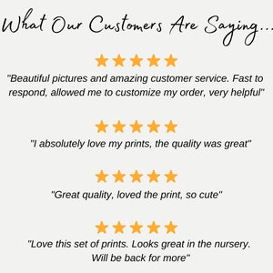 May include: A screenshot of a website with customer reviews. The reviews are all positive and mention the quality of the products and the customer service. The reviews are accompanied by five-star ratings.