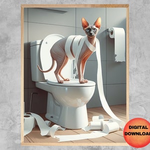 Può includere: Un water bianco con un gatto sphinx seduto sul sedile. Il gatto è avvolto nella carta igienica. C'è carta igienica sul pavimento e sullo sfondo.