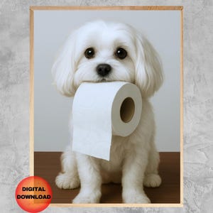 Maltese Bathroom Wall Art, Maltese Toilet Toilet Paper Print, Funny Dog Printable, Whimsy Animal Poster, Maltese Dog Lover Gift, DOWNLOAD