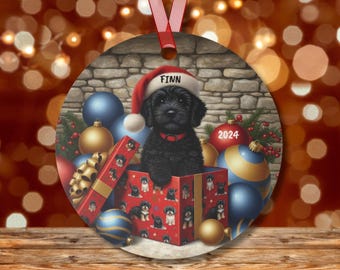 May include: A black dog wearing a Santa hat sits in a red gift box surrounded by Christmas ornaments. The dog's name is Finn and the year 2024 is on one of the ornaments.