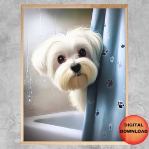 Maltese Bathroom Wall Art, Maltese Peeking Shower Curtain Print, Whimsy Gift for Maltese Dog Owner, Bathtub Dog Humor Artwork, DOWNLOADABLE
