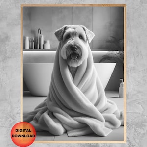 Puede incluir: Impresión en blanco y negro de un perro envuelto en una toalla, sentado en un baño moderno. El perro tiene una barba larga y blanca y mira directamente al espectador. El fondo incluye una bañera y artículos de aseo.