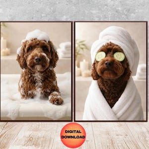 Puede incluir: Dos impresiones enmarcadas con un perro marrón. Una muestra al perro en un baño de burbujas. La otra muestra al perro con rodajas de pepino en los ojos, envuelto en una toalla blanca.