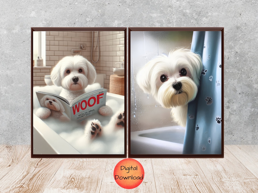 Maltese Bathroom Wall Art Set of 2, Funny Maltese Bubblebath Print ...
